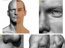 完整男性解剖高精3D模型 3dscanstore Colour Male Anatomy Bundle 01
