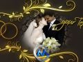 完美婚礼AE模板 VideoHive Wedding Rings 4415971 Project for After Effects
