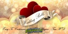 《梦幻婚礼 AE模板》Videohive wedding bells a dream wedding pack 1401533 After Effects Pr