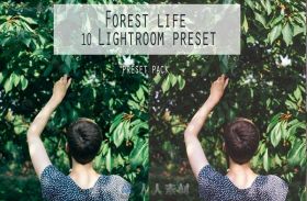 森林生活人像摄影磨砂效果Lightroom预设