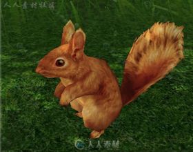 可爱地松鼠动物角色3D模型Unity游戏素材资源