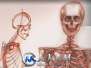 《人体结构与比率手绘绘画视频教程第三季》The Gnomon Workshop Anatomy Workshop ...