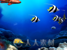 唯美海底世界卡通鱼群珊瑚水草婚礼婚庆led大屏幕背景视频素材