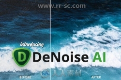 Topaz DeNoise AI图像降噪软件V2.3.1版