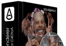 SolidAngle C4DtoA Arnold渲染器C4D接口插件V1.0.12.0版 SOLID ANGLE ARNOLD FOR C...