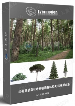 40组高品质针叶树植物森林相关3D模型合集 Evermotion Archmodels第219季