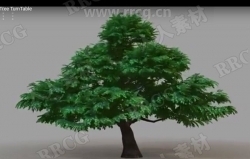 Easy Treez树木树叶植物设计Maya插件V2.0版