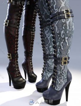 女性现代华丽的高帮皮靴3D模型合辑