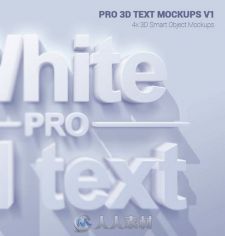 专业三维字体特效PSD模板 Graphicriver Pro 3D Text Mockups V1 10911811