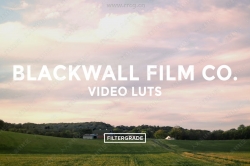 BlackwallFilm系列影视级LUT调色预设合集