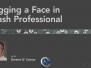 《Flash人物脸部动画制作教程》Lynda.com Rigging a Face in Flash Professional