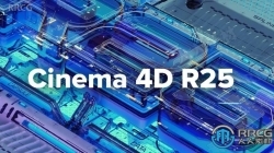 Cinema 4D Studio三维设计软件R25.115版