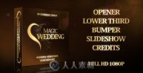 梦幻婚礼包装动画AE模板 Videohive Magic Wedding 7194147 Project for After Effects