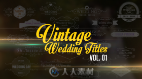 复古时尚优雅的标题动画婚礼片头AE模板Videohive Vintage Wedding Titles vol. 01...