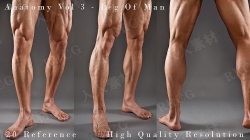 20张男性腿部细节高清人体参考图合集