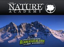 《Blender自然风格制作教程》The Nature Academy 2012 by Andrew Price