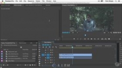Premiere Pro CC高效工作技巧训练视频教程