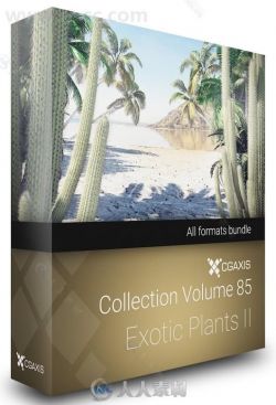 CGAxis出品22组热带棕榈植物仙人掌等3D模型合辑