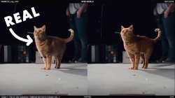 影片《惊奇队长》幕后制作解析视频 三分之二的橘猫镜头都是CG效果