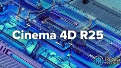 Cinema 4D Studio三维设计软件R25.120版