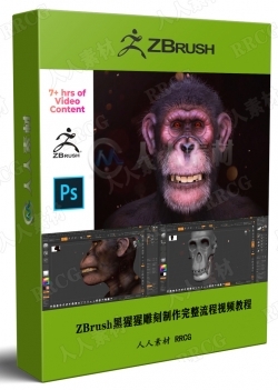 ZBrush黑猩猩雕刻制作完整流程视频教程