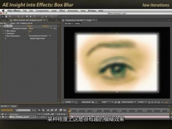 Adobe After Effects经典教程分享 Box Blur工具可以提供更多灵活性操作