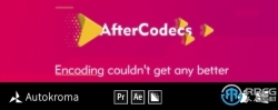 AfterCodecs本地列队渲染编码AE插件V1.10.8版