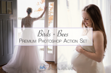 婴儿孕妇照片调色PS动作Birds-Bees-Photoshop-Action-Set