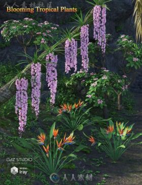 美丽的热带植物夏季花卉3D模型合辑