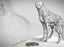 《Photoshop绘制动物解剖高级教程》Digital-Tutors Fundamentals of Drawing Animal Anatomy