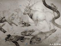 akreon多种动物怪兽绘画