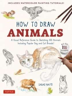 如何绘制100种动物素描视觉参考指南书籍