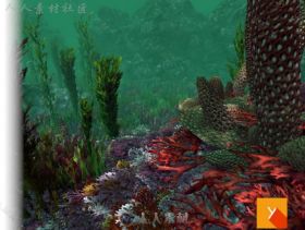 丰富多彩和活泼的水下植物环境3D模型Unity游戏素材资源