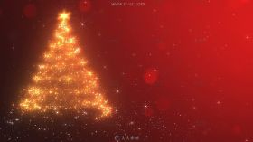 布满星光的华丽圣诞树在星点中变化的视频素材