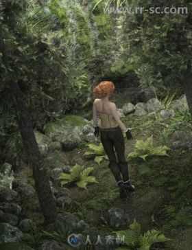 森林景观悬崖石头蕨类植物和松树3D模型合辑