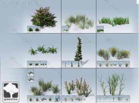 无缝的移动地面覆盖植被植物3D模型Unity游戏素材资源