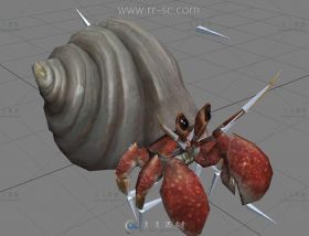 超有趣的寄居蟹3D模型