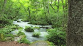 唯美浪漫的日本秋田山风景延时摄影高清实拍视频素材