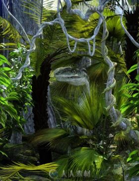 逼真茂密的热带树木和灌木丛3D模型合辑
