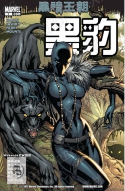 美漫《黑豹v5》全卷漫画集