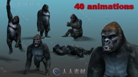 卡通动物大猩猩哺乳动物动物角色3D模型Unity游戏素材资源