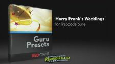 《极品婚礼包装板式 AE片头包装模板》After Effect Project Harry Frank's Wedding...