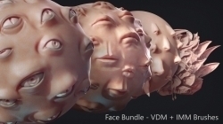 110组人类怪物面部五官Zbrush IMM和VDM笔刷与3D模型合集
