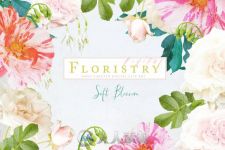 数码花艺平面素材合辑Digital Floristry - Soft Blossom